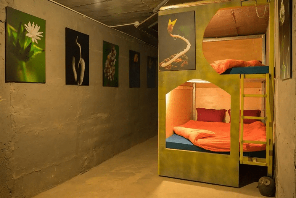 10 Căn homestay Đà Lạt phòng dorm view đẹp giá rẻ cho bạn