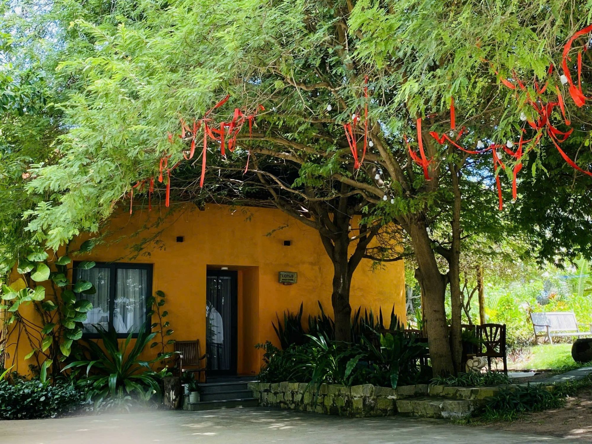 Lotus Beach House