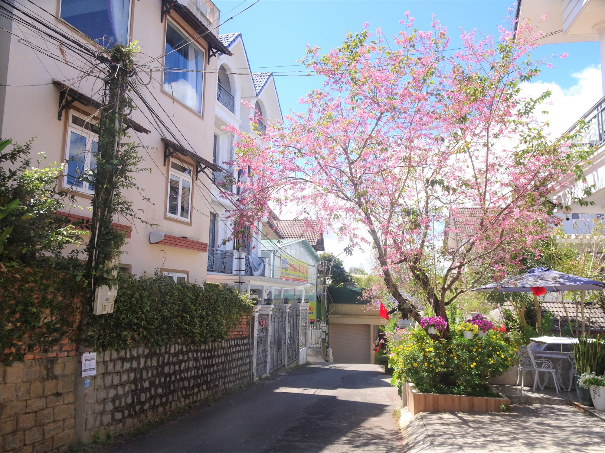 Mento Villa 
