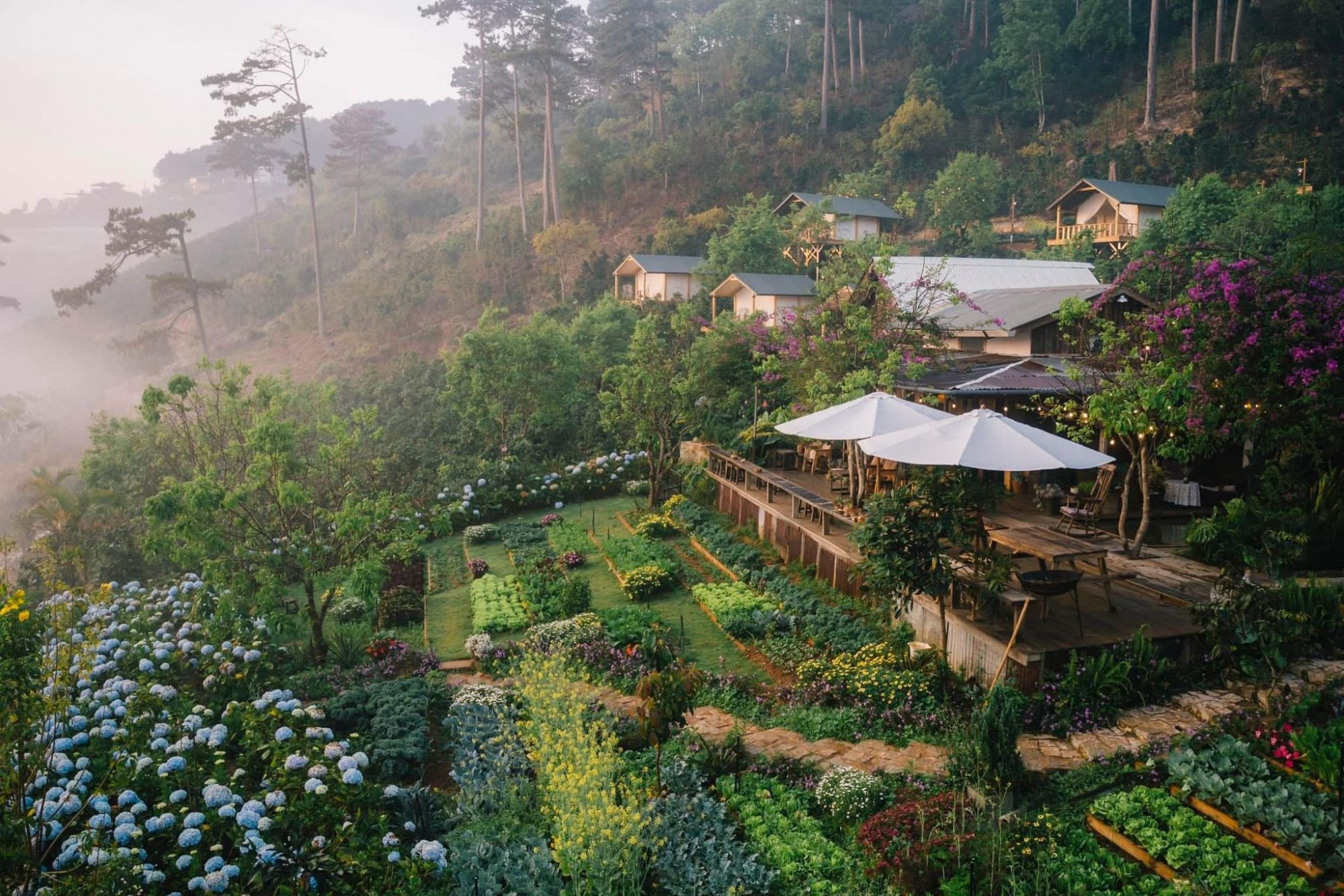 Top 6 quán cafe mở 24/24 ở Đà Lạt cho bạn chill xuyên đêm