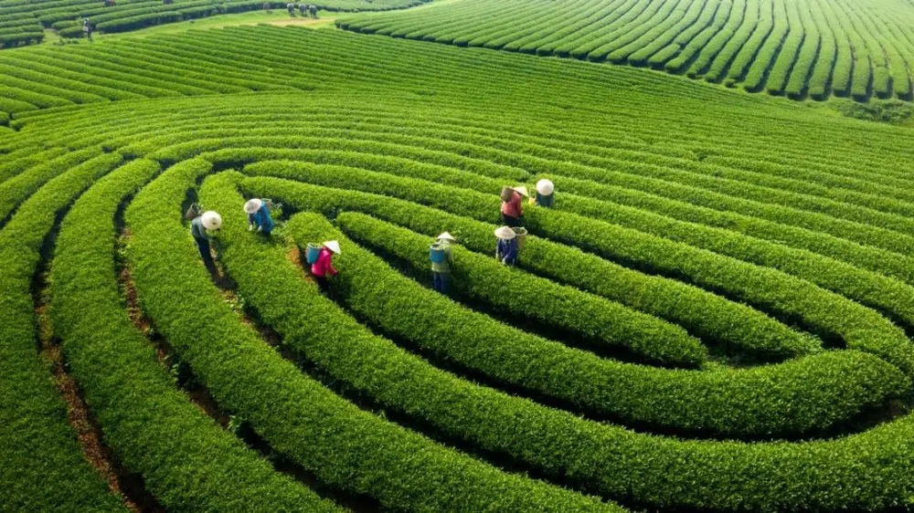 mùa xuân nên du lịch ở đâu
