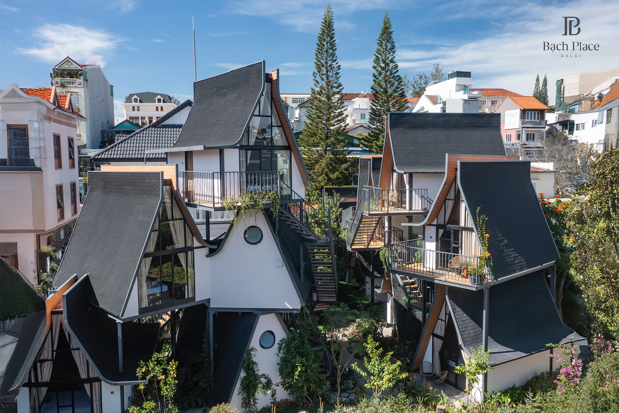 Bạch Plance DaLat