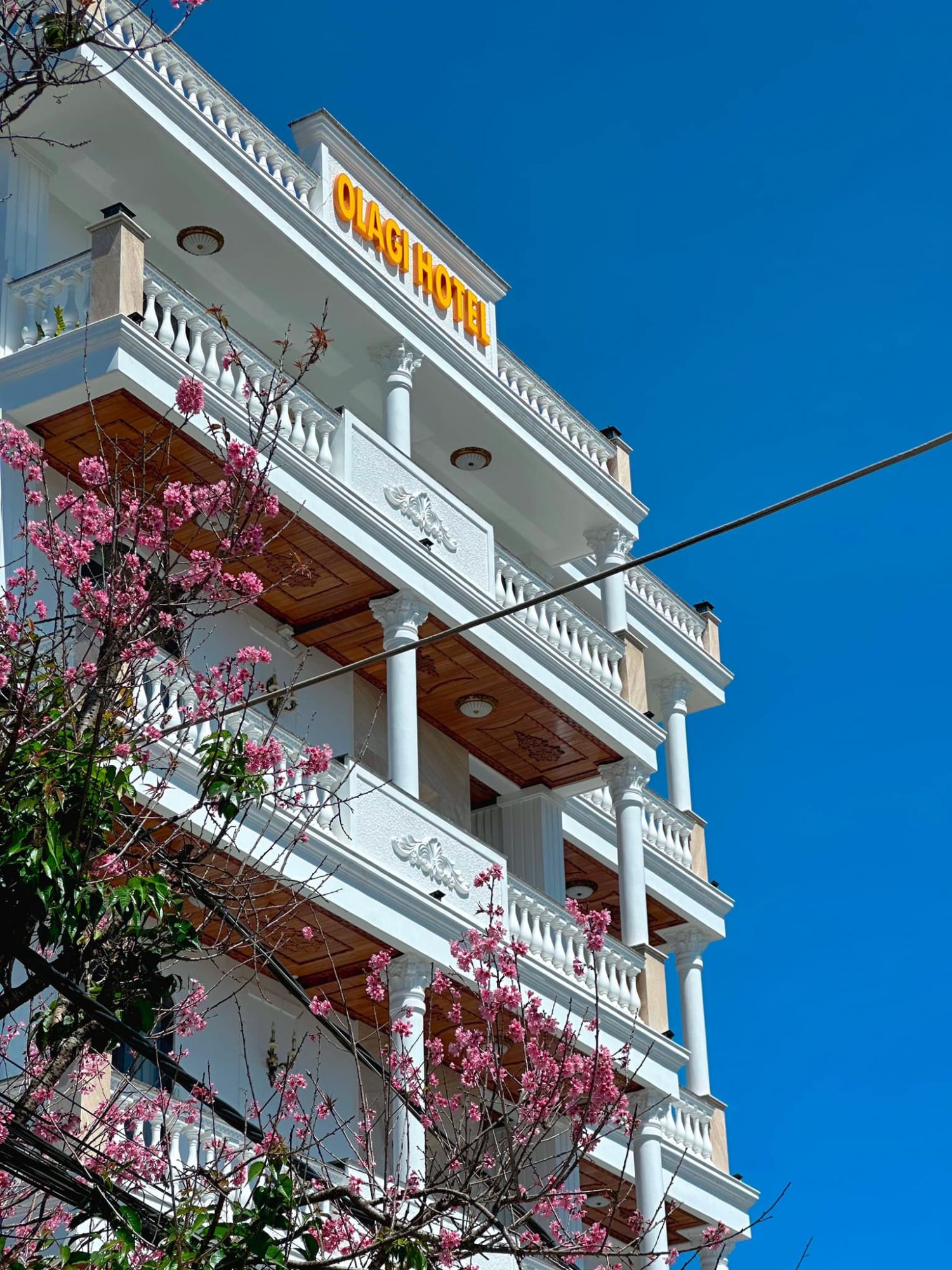 Olagi Hotel