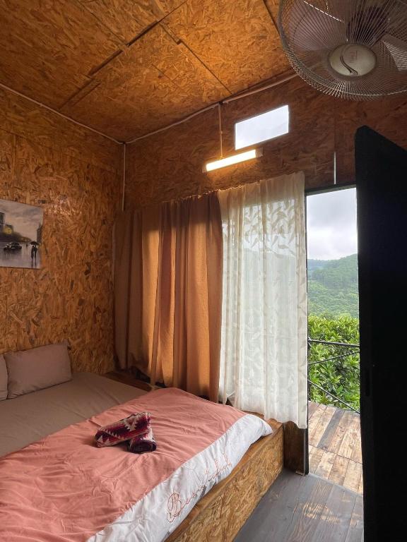 Homestay Dom House