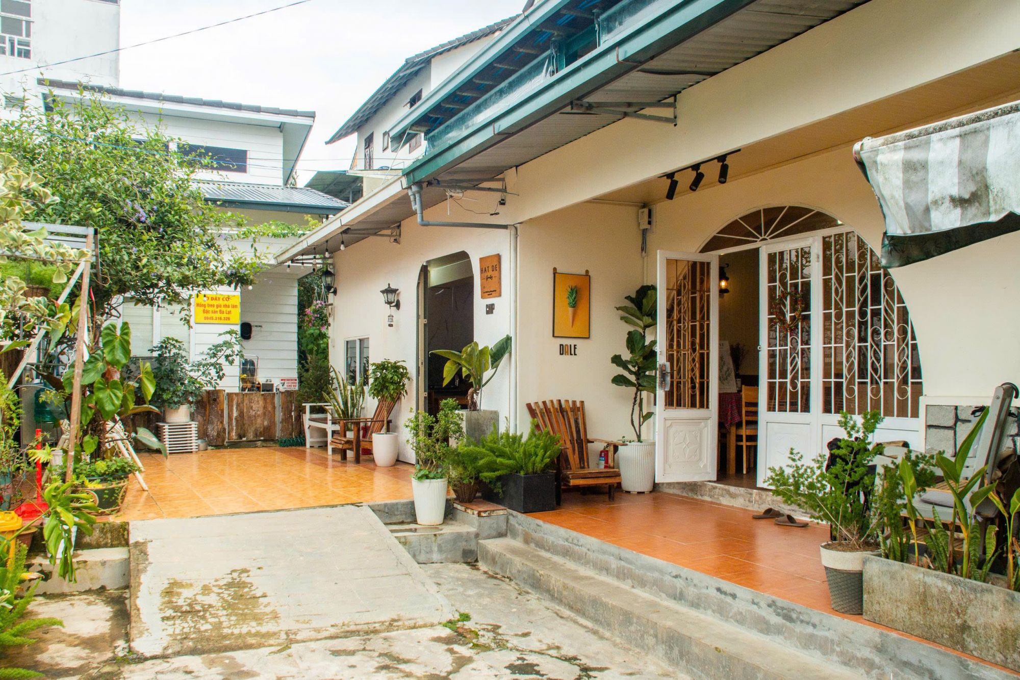Hạt Dẻ 2