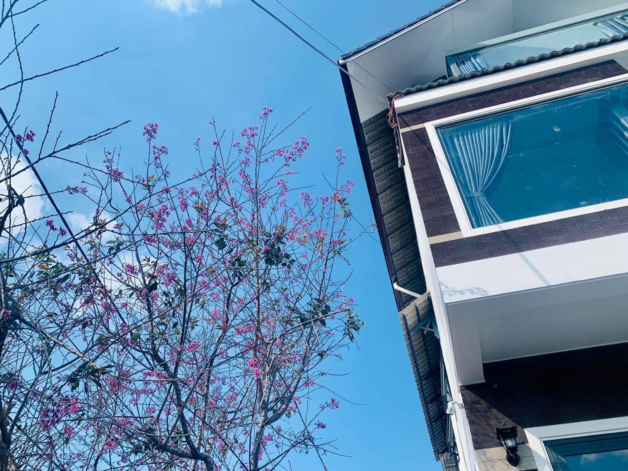 Rốn Home