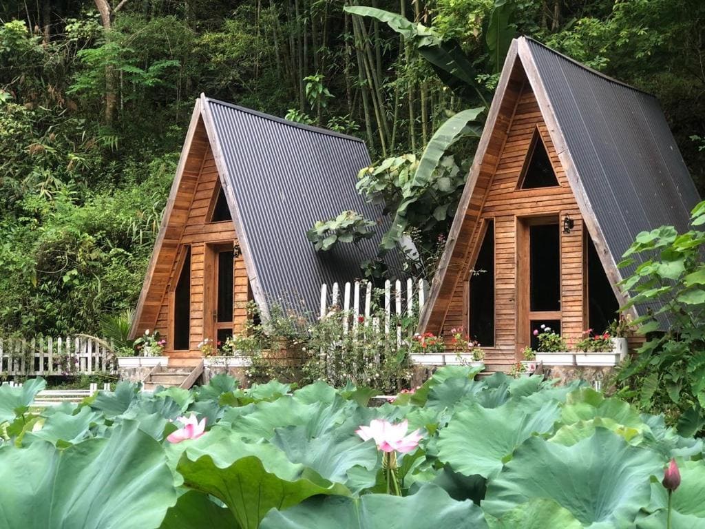 Homestay Điện Biên- Thung Lũng Hoa Hồng