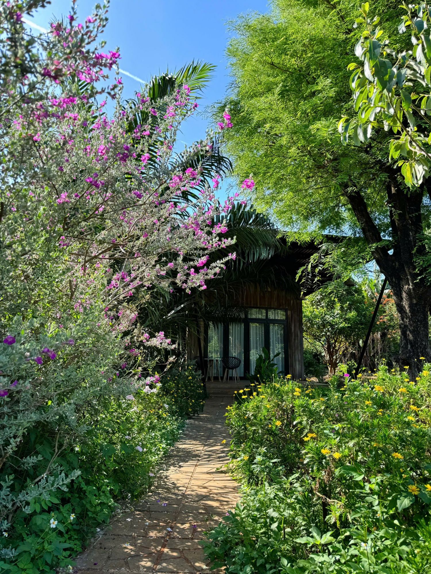 Paksong Farmstay