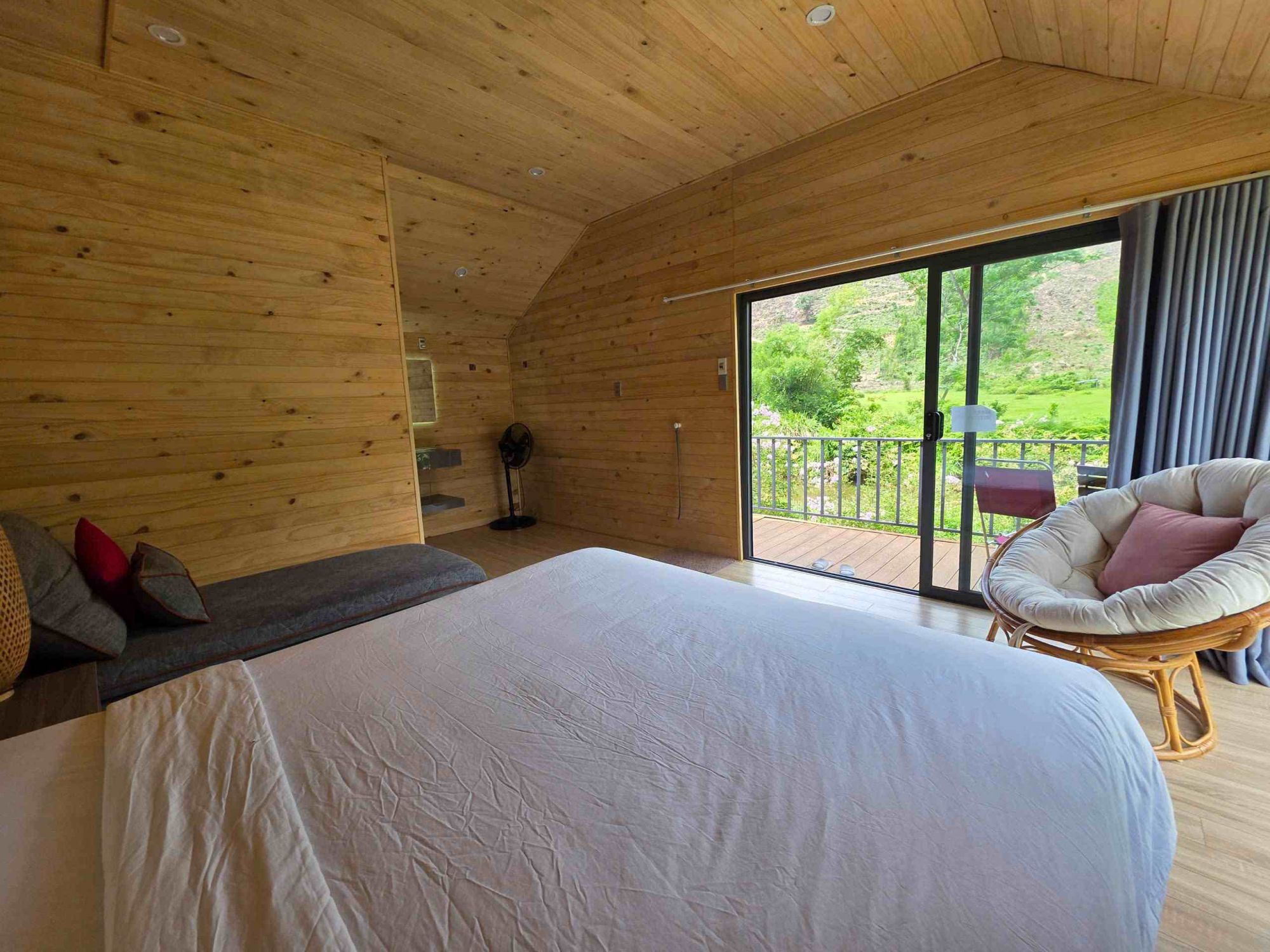 Hoa cúc Homestay
