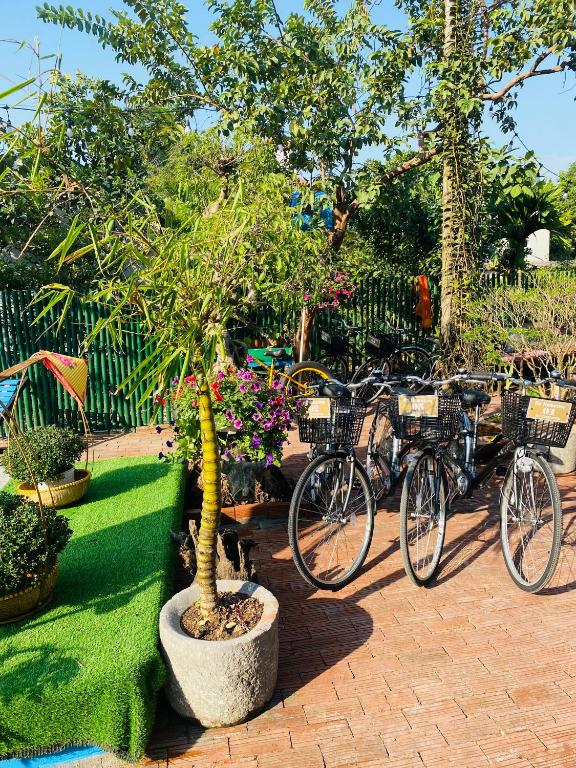 An Homestay Tam Coc