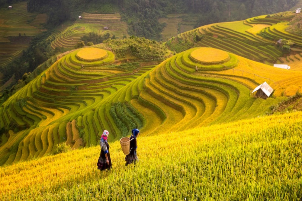 đi chơi sapa mùa nào đẹp