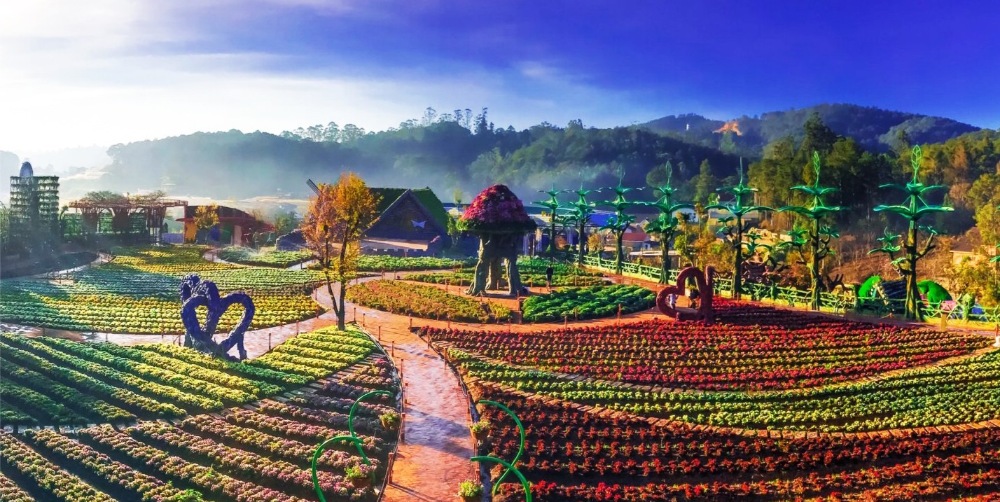 đi du lịch đà lạt tháng mấy đẹp