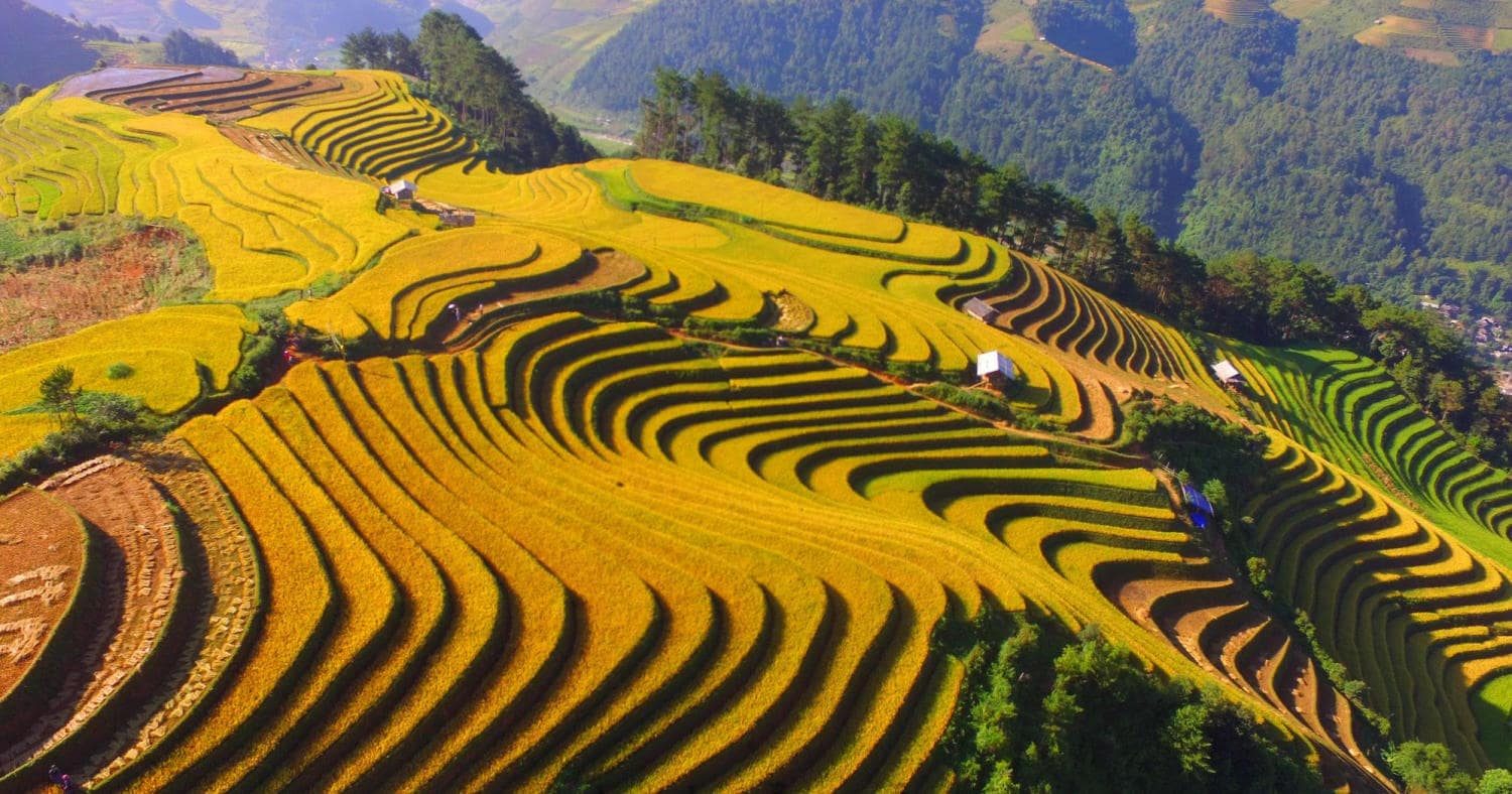 đi du lịch sa pa
