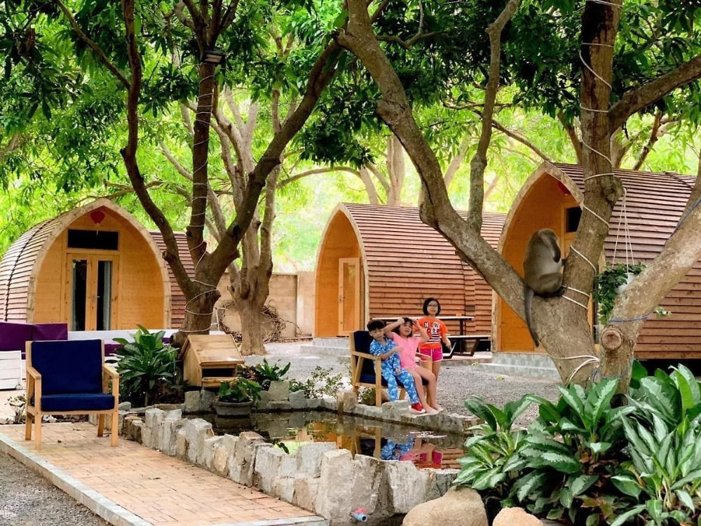 mango homestay phước hải