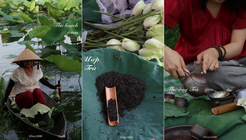 Thưởng thức trà sen Tịnh Tâm