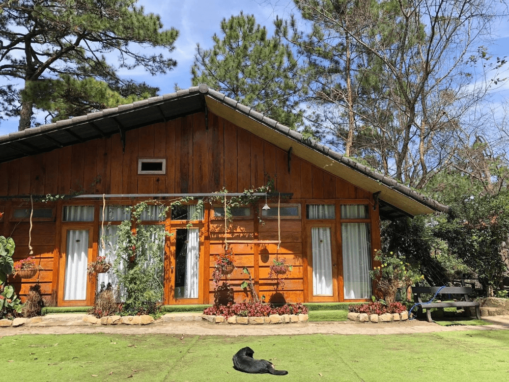Top 10 homestay Đà Lạt gần trung tâm view đẹp, giá rẻ nhất 2026