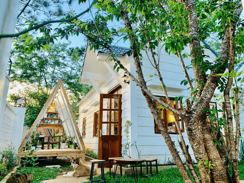 Top 20 homestay Măng Đen có view đẹp giá rẻ 2026