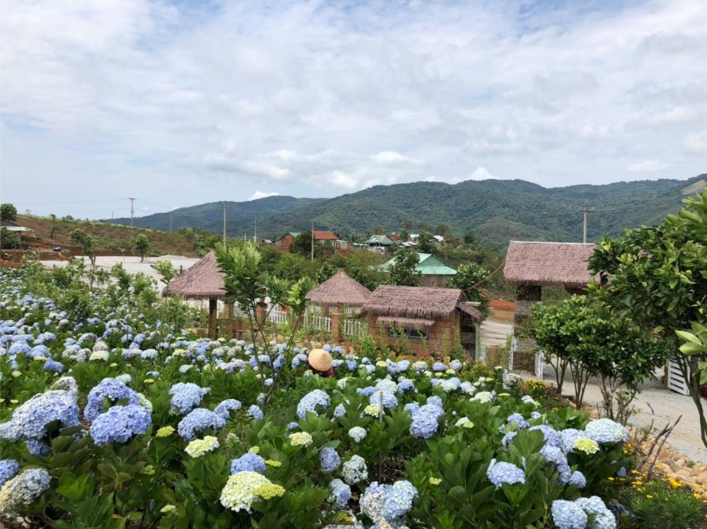 măng đen có gì hay