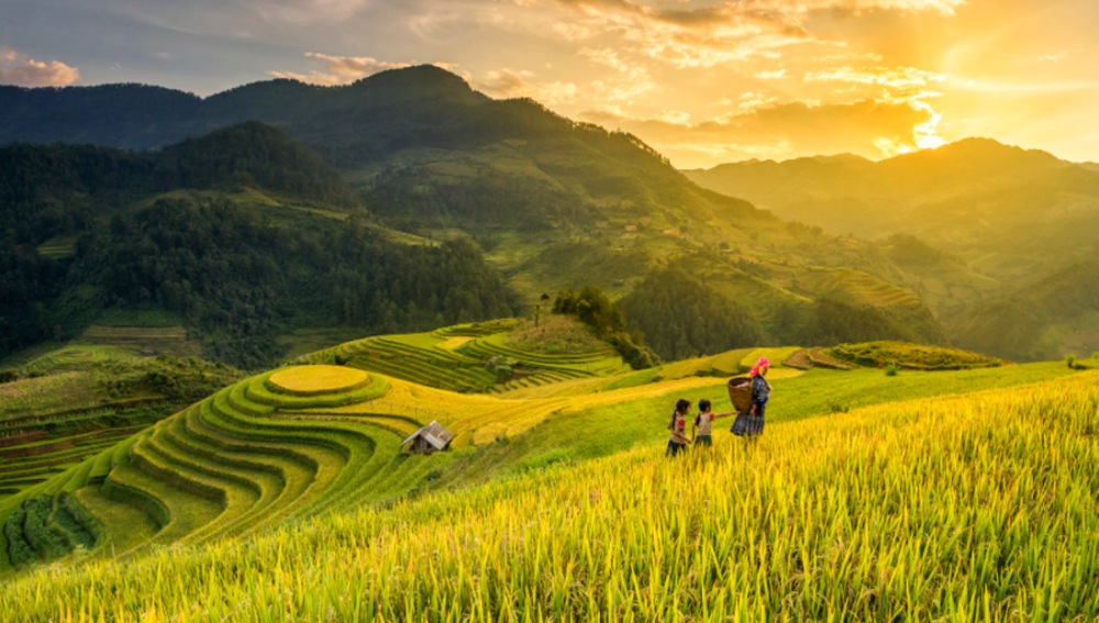du lịch mù cang chải