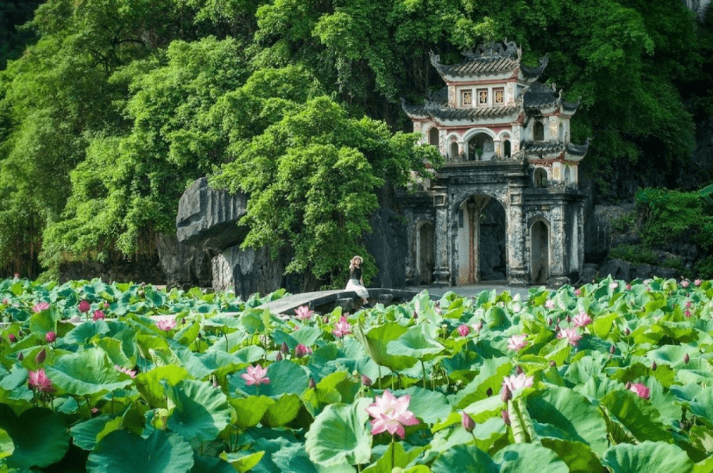 Tam Cốc Ninh Bình - Kinh nghiệm du lịch chi tiết 2026