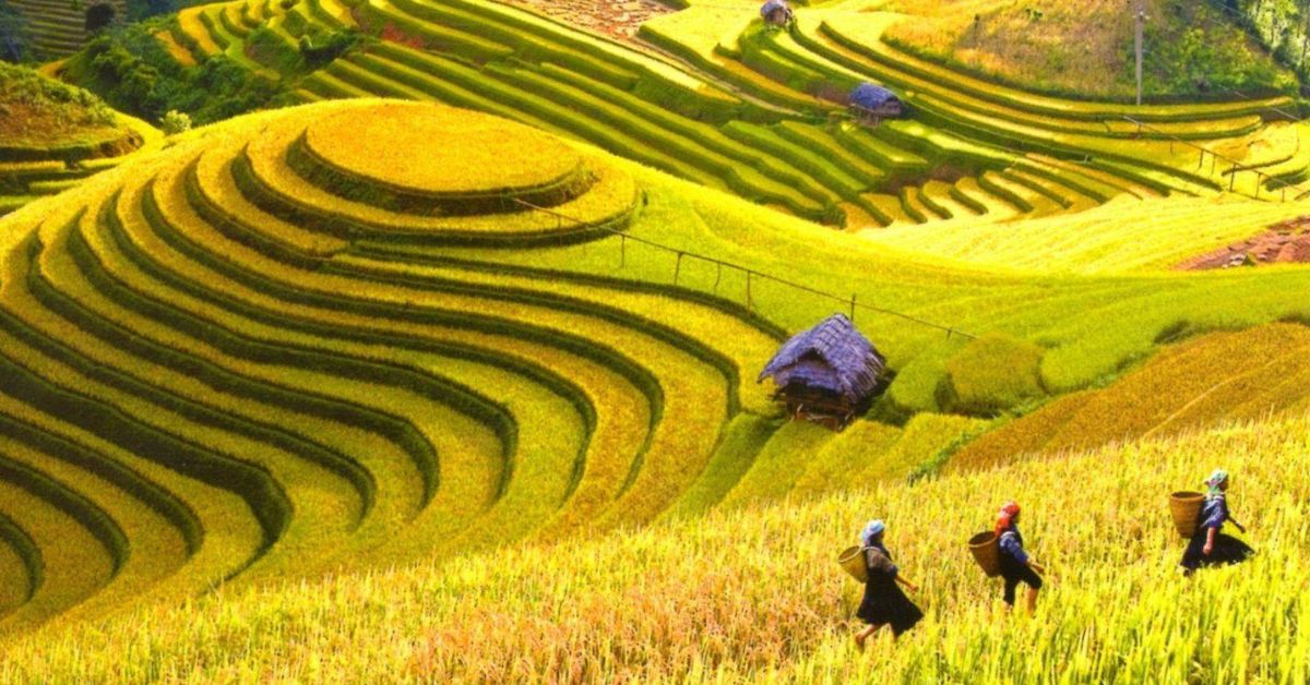 Điện Biên – Hành trình Tây Bắc, check-in cánh đồng Mường Thanh và homestay giữa núi rừng
